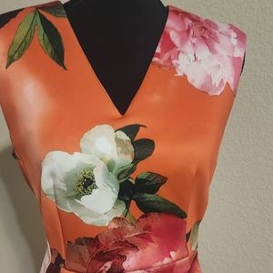 Calvin Klein Sheath Dress